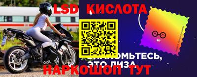 СК Канаш