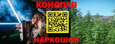 СК Канаш