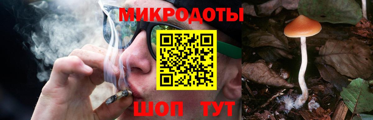 Галлюциногенные грибы мухоморы  Вход с VPN  Галлюциногенные грибы прущие грибы  Биробиджан 